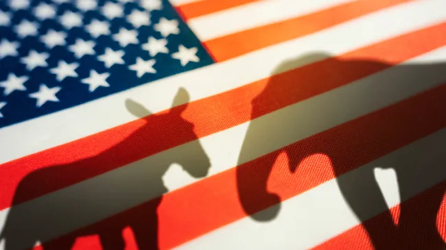 elephant and donkey on american flag